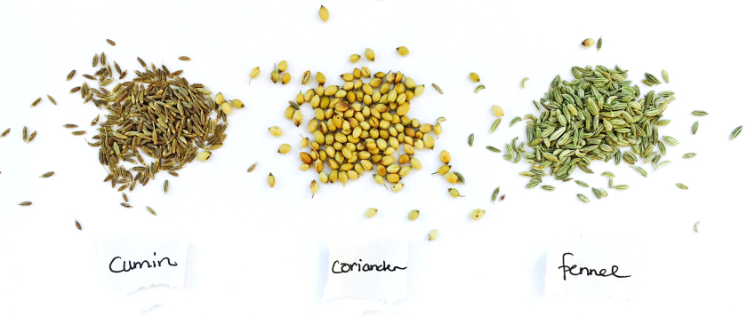 coriander, cumin and fennel seeds