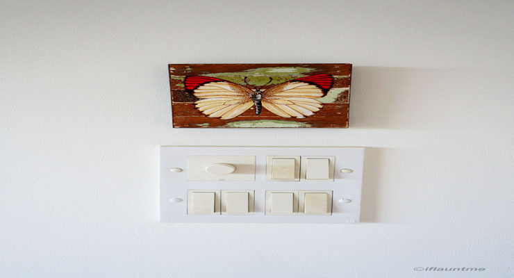 Butterfly wall designs