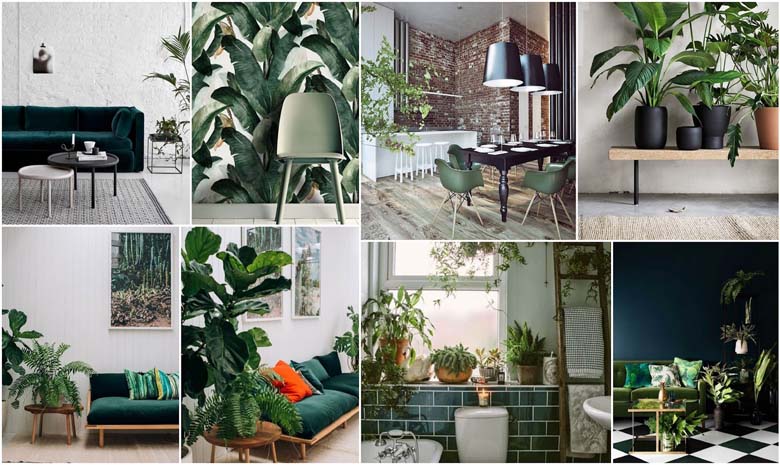 Interior decor ideas - houseplants, furniture, bathroom in green hues