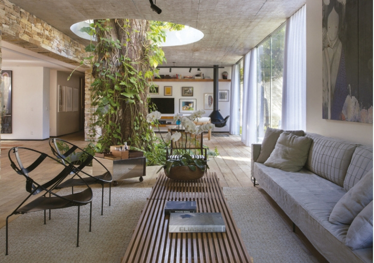 GET A NATUREKISSED HOME WITH BIOPHILIC DESIGN